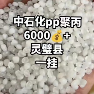 中石化pp聚丙 6000