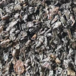 破碎料。每天都有