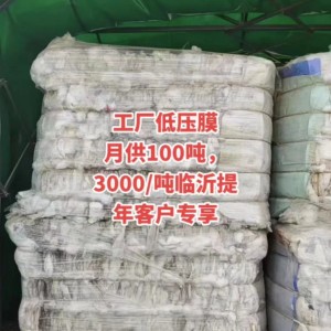 工厂低压膜月供100吨，3000/吨临沂提