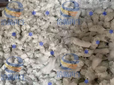 大量出售：黑色、白色PP加纤40纤、60纤毛毛虫浙江财富热线图1