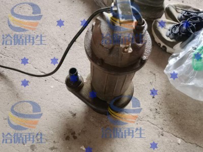 佳木斯地区处理220V750W潜水泵图1