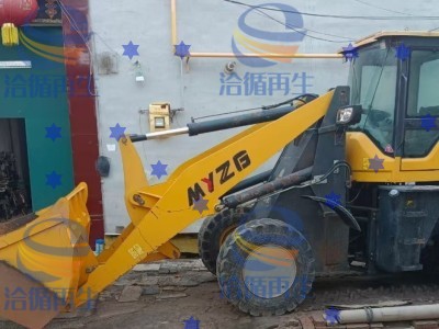 石家庄地区处理明宇装粮王图1