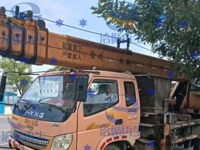 咸阳地区处理团结10吨吊车图1