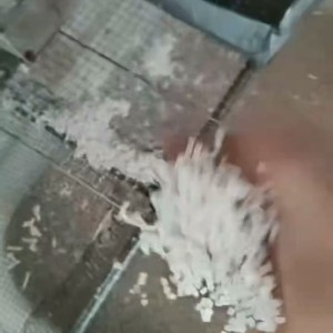 中温丙膜颗粒。可以吹膜。5700自提河北秦皇岛