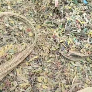 花漂几十吨，2000+，货在安徽，