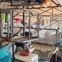 鸡西地区处理2013年六行高速插秧机